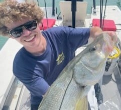 Snook Fishing in Sarasota, Florida