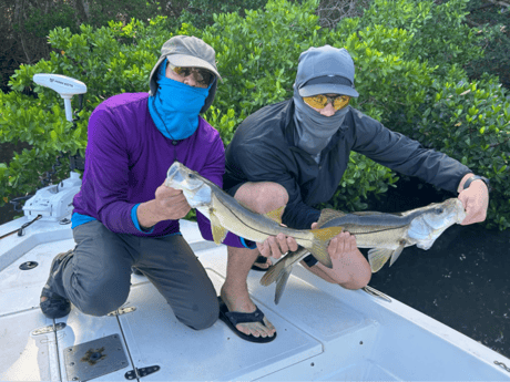 Snook Fishing in Tampa, Florida