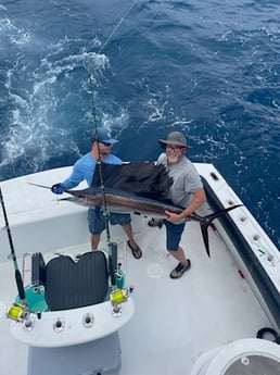 Sailfish Fishing in Miami, Florida