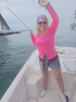 Black Drum fishing in St. Petersburg, Florida