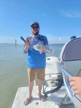 Black Drum Fishing in South Padre Island, Texas