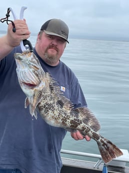 Lingcod Fishing in Garibaldi, Oregon