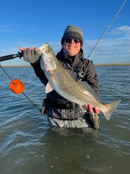 Speckled Trout / Spotted Seatrout Fishing in Bay City, Texas