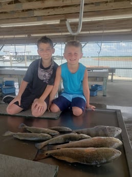 Black Drum, Redfish, Speckled Trout / Spotted Seatrout fishing in Matagorda, Texas