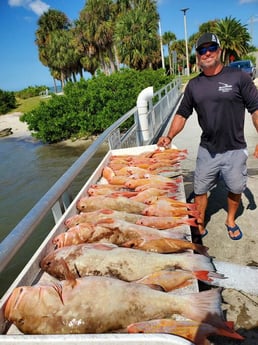 Lane Snapper, Red Grouper fishing in Clearwater, Florida