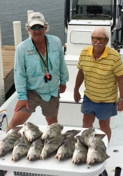 Black Drum Fishing in South Padre Island, Texas