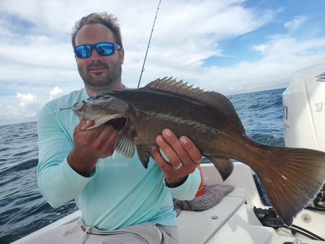 Gag Grouper fishing in St. Petersburg, Florida