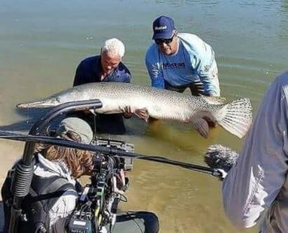 Alligator Gar fishing in Coldspring, Texas