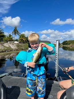 Largemouth Bass Fishing in Boca Raton, Florida