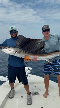 Sailfish Fishing in Miami, Florida