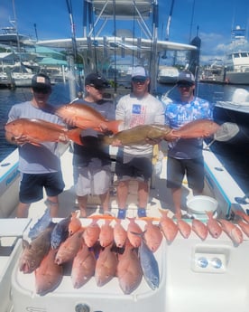 Black Grouper, False Albacore, Red Snapper Fishing in Key Largo, Florida