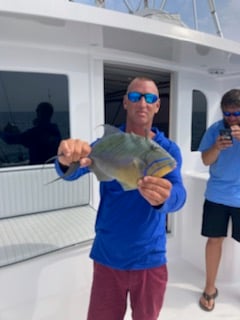 Giant Trevally fishing in Marathon, Florida