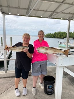 Gag Grouper fishing in St. Petersburg, Florida