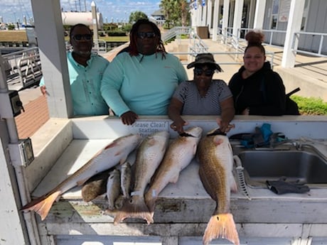 Redfish, Speckled Trout / Spotted Seatrout Fishing in Galveston, Texas