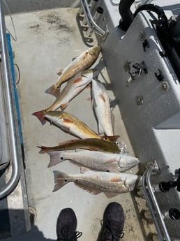 Redfish fishing in Freeport, Texas