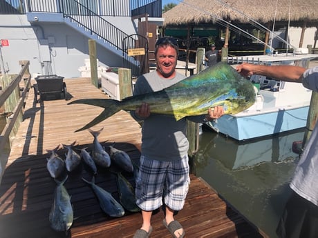 Amberjack, Barracuda, Mahi Mahi / Dorado fishing in Port Orange, Florida