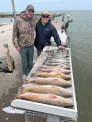 Black Drum, Redfish Fishing in Galveston, Texas