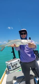 Snook Fishing in Islamorada, Florida