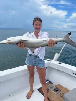 Blacktip Shark fishing in Biloxi, Mississippi