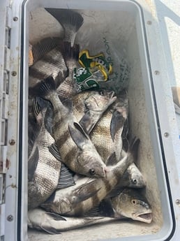 Fishing in Port O&#039;Connor, Texas