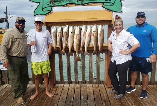 Redfish, Sheepshead fishing in Port Isabel, Texas