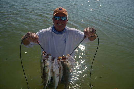 Speckled Trout / Spotted Seatrout fishing in Corpus Christi, Texas