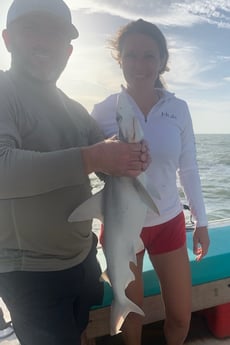 Bonnethead Shark fishing in Corpus Christi, Texas