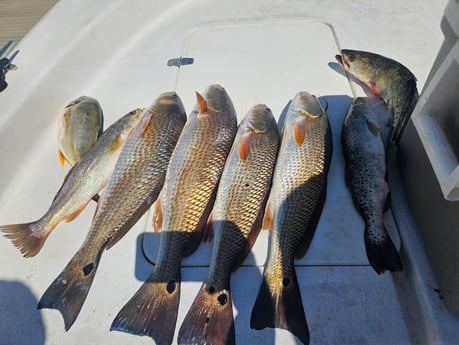 Fishing in Cedar Key, Florida