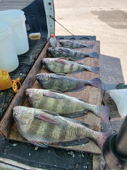 Fishing in Biloxi, Mississippi