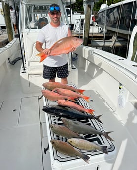 Amberjack, False Albacore, Mangrove Snapper, Mutton Snapper Fishing in Islamorada, Florida