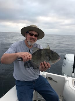 Triggerfish Fishing in Destin, Florida