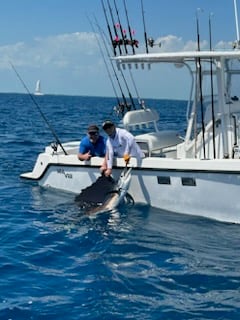 Sailfish Fishing in Key Largo, Florida