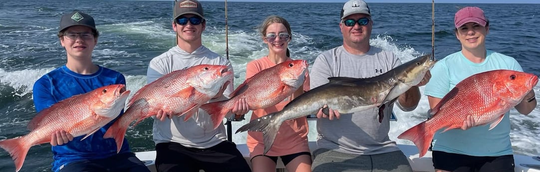 Cobia, Red Snapper fishing in Biloxi, Massachusetts