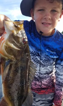 Peacock Bass fishing in Fort Lauderdale, Florida