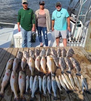 Black Drum, Redfish, Speckled Trout / Spotted Seatrout fishing in Port O&#039;Connor, Texas