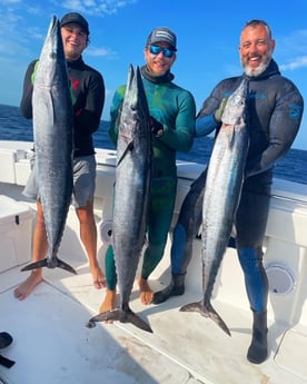 Wahoo Fishing in Islamorada, Florida