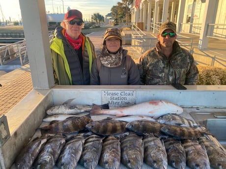 Redfish, Sheepshead Fishing in Galveston, Texas