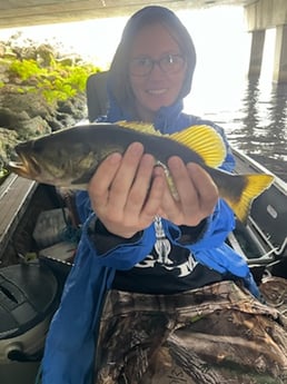 Largemouth Bass fishing in Fort Lauderdale, Florida