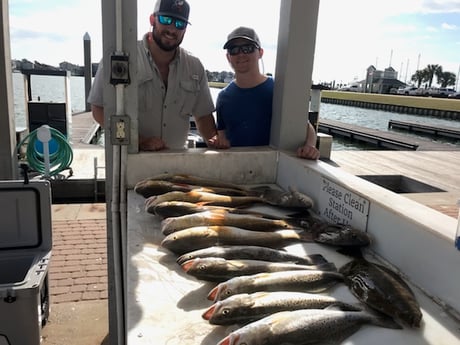 Black Drum, Flounder, Redfish, Speckled Trout Fishing in Galveston, Texas