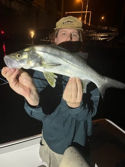 Snook Fishing in Jupiter, Florida