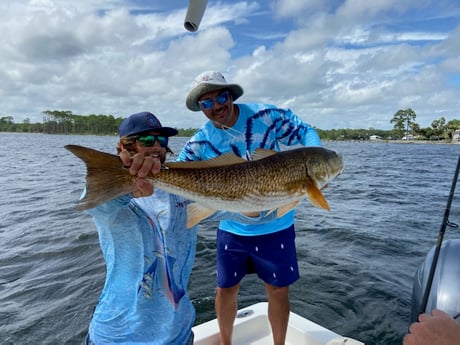 Redfish fishing in Destin, Florida