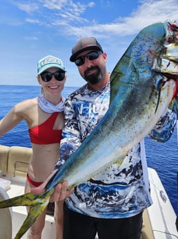 Mahi Mahi Fishing in Fort Lauderdale, Florida