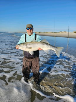 Striped Bass Fishing in Stone Harbor, New Jersey