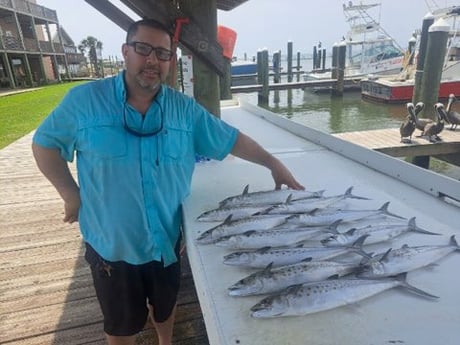 Spanish Mackerel Fishing in Gulf Shores, Alabama