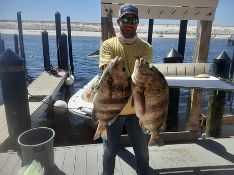 Mangrove Snapper fishing in Destin, Florida