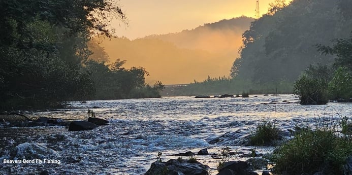 Fishing in Broken Bow, Oklahoma