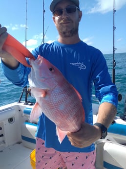 Red Snapper fishing in Clearwater, Florida