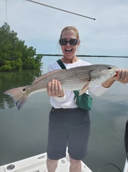 Redfish fishing in St. Petersburg, Florida