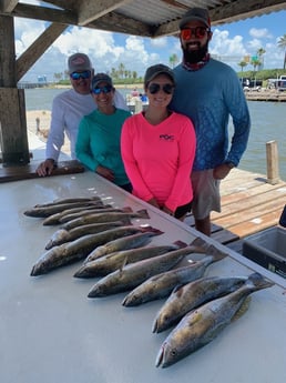 Speckled Trout / Spotted Seatrout fishing in Galveston, Texas