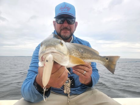 Redfish fishing in Beaufort, North Carolina